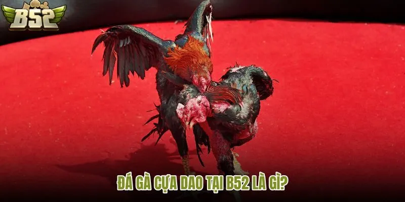 Những thông tin cần tiếp cận thận trọng