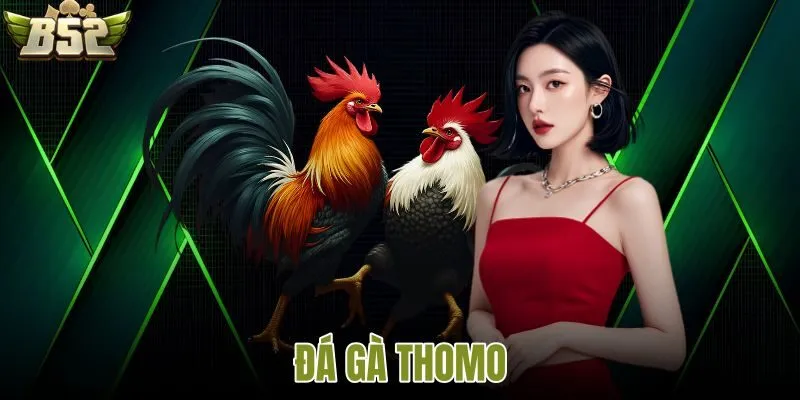 Đá gà Thomo B52
