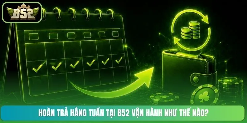 Hoàn trả hằng tuần tại B52 vận hành như thế nào?
